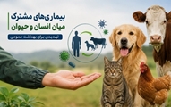 بیماری‌های مشترک انسان و حیوان؛ چالشی جدی برای سلامت عمومی و نیازمند مشارکت همگانی